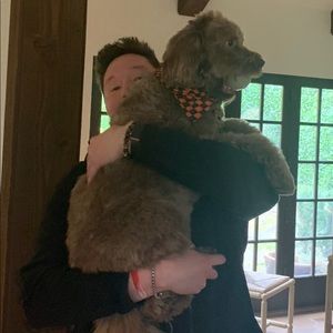 Meet your Posher, Sebastian